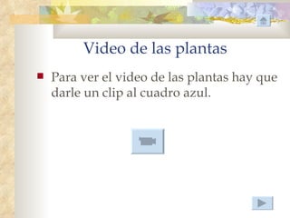 Video de las plantas
   Para ver el video de las plantas hay que
    darle un clip al cuadro azul.
 