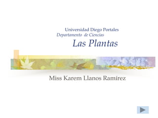 Universidad Diego Portales
  Departamento de Ciencias

         Las Plantas


Miss Karem Llanos Ramírez
 