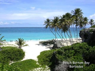 Beach Bottom Bay Barbados 