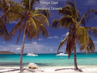 Tobago Cays Windward Islands 