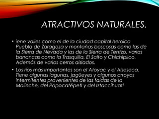 ATRACTIVOS NATURALES.
• iene valles como el de la ciudad capital heroica
Puebla de Zaragoza y montañas boscosas como las de
la Sierra de Nevada y las de la Sierra de Tentzo, varias
barrancas como la Trasquilla, El Salto y Chichipilco.
Además de varios cerros aislados.
• Los ríos más importantes son el Atoyac y el Alseseca.
Tiene algunas lagunas, jagüeyes y algunos arroyos
intermitentes provenientes de las faldas de la
Malinche, del Popocatépetl y del Iztaccihuatl
 