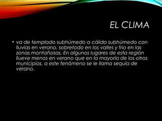 EL CLIMA
• va de templado subhúmedo a cálido subhúmedo con
lluvias en verano, sobretodo en los valles y frio en las
zonas montañosas. En algunos lugares de esta región
llueve menos en verano que en la mayoría de los otros
municipios, a este fenómeno se le llama sequía de
verano.
 
