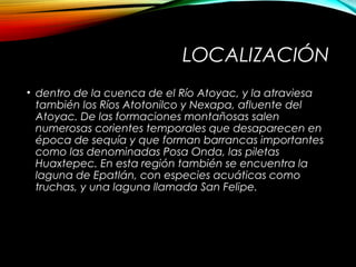 LOCALIZACIÓN
• dentro de la cuenca de el Río Atoyac, y la atraviesa
también los Ríos Atotonilco y Nexapa, afluente del
Atoyac. De las formaciones montañosas salen
numerosas corientes temporales que desaparecen en
época de sequía y que forman barrancas importantes
como las denominadas Posa Onda, las piletas
Huaxtepec. En esta región también se encuentra la
laguna de Epatlán, con especies acuáticas como
truchas, y una laguna llamada San Felipe.
 