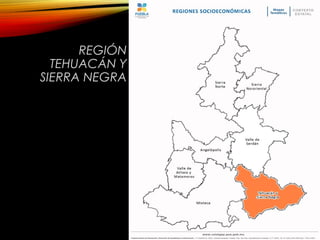 REGIÓN
TEHUACÁN Y
SIERRA NEGRA
 