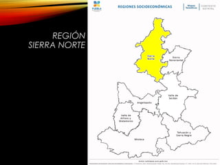 REGIÓN
SIERRA NORTE
 