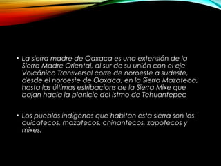 • La sierra madre de Oaxaca es una extensión de la
Sierra Madre Oriental, al sur de su unión con el eje
Volcánico Transversal corre de noroeste a sudeste,
desde el noroeste de Oaxaca, en la Sierra Mazateca,
hasta las últimas estribacions de la Sierra Mixe que
bajan hacia la planicie del Istmo de Tehuantepec
• Los pueblos indígenas que habitan esta sierra son los
cuicatecos, mazatecos, chinantecos, zapotecos y
mixes.
 