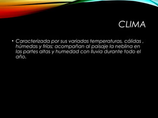CLIMA
• Caracterizada por sus variadas temperaturas, cálidas ,
húmedas y frías; acompañan al paisaje la neblina en
las partes altas y humedad con lluvia durante todo el
año.
 