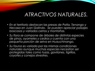 ATRACTIVOS NATURALES.
• En el territorio destacan las presas de Patla, Tenango y
Necaxa en Juan Galindo. Se pueden apreciar paisajes
boscosos y variados cerros y montañas.
• Su flora se compone de árboles de distintas especies
de pinos, oyameles y cedros y cuenta con una
pequeña porción de selva en Huauchinango.
• Su fauna es variada por las mismas condiciones
naturales aunque muchas especies necesitan ser
protegidas tales como tuzas, gavilanes, tigrillos,
coyotes y conejos silvestres.
 