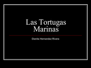 Las Tortugas Marinas Dianita Hernandez Rivera 