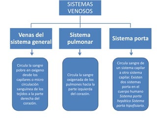 SISTEMAS
VENOSOS
Venas del
sistema general
Sistema
pulmonar
Sistema porta
Circula la sangre
pobre en oxígeno
desde los
capilares o micro
circulación
sanguínea de los
tejidos a la parte
derecha del
corazón.
Circula la sangre
oxigenada de los
pulmones hacia la
parte izquierda
del corazón.
Circula sangre de
un sistema capilar
a otro sistema
capilar. Existen
dos sistemas
porta en el
cuerpo humano
Sistema porta
hepático Sistema
porta hipofisiario.
 