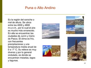 Es la región del soroche o mal de altura. Se ubica entre los 4000 y 4800 m.s.n.m., por lo cual el aire es mucho más enrarecido. En ella se encuentran las ciudades de Junín y Cerro de Pasco. El clima es frío, con frecuentes precipitaciones y una temperatura media anuel de 0 a -7° C. Su relieve es muy diverso y por lo general ondulado, es donde se encuentran mesetas, lagos y lagunas. Puna o Alto Andino  