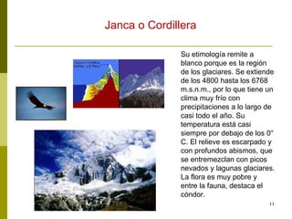 Su etimología remite a blanco porque es la región de los glaciares. Se extiende de los 4800 hasta los 6768 m.s.n.m., por lo que tiene un clima muy frío con precipitaciones a lo largo de casi todo el año. Su temperatura está casi siempre por debajo de los 0° C. El relieve es escarpado y con profundos abismos, que se entremezclan con picos nevados y lagunas glaciares. La flora es muy pobre y entre la fauna, destaca el cóndor. Janca o Cordillera 