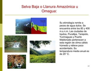 Su etimología remite a peces de agua dulce. Se encuentra entre los 80 y 400 m.s.n.m. Las ciudades de Iquitos, Pucallpa, Tarapoto, Yurimaguas y Puerto Maldonado pertenecen a esta región de clima cálido húmedo y relieve poco accidentado. Su temperatura media anual es de 25° C. Selva Baja o Llanura Amazónica u Omagua:  
