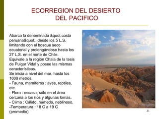 Abarca la denominada "costa peruana", desde los 5 L.S. limitando con el bosque seco ecuatorial y prolongándose hasta los 27 L.S. en el norte de Chile.  Equivale a la región Chala de la tesis de Pulgar Vidal y posee las mismas características.  Se inicia a nivel del mar, hasta los 1000 metros.  - Fauna, mamíferos : aves, reptiles, etc.  - Flora : escasa, sólo en el área cercana a los ríos y algunas lomas.  - Clima : Cálido, húmedo, neblinoso.  -Temperatura : 18 C a 19 C (promedio)  ECORREGION DEL DESIERTO  DEL PACIFICO 