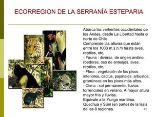Abarca las vertientes occidentales de los Andes, desde La Libertad hasta el norte de Chile.  Comprende las alturas que están entre los 1000 m.s.n.m hasta aves, reptiles, etc.  - Fauna : diversa, de origen andino, roedores, oso de anteojos, aves, reptiles, etc.  - Flora : vegetación de los pisos inferiores, cactus, pajonales, arbustos, gramíneas en los pisos más altos.  - Clima : sol permanente, lluvias torrenciales en verano. A mayor altura mayor frío y lluvias.  Equivale a la Yunga marítima, Quechua y Suni (en parte) de la tesis de las 8 regiones.  ECORREGION DE LA SERRANÍA ESTEPARIA 