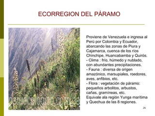 Proviene de Venezuela e ingresa al Perú por Colombia y Ecuador, abarcando las zonas de Piura y Cajamarca, cuenca de los ríos Chinchipe, Huancabamba y Quirós.  - Clima : frío, húmedo y nublado, con abundantes precipitaciones.  - Fauna : diversa de origen amazónico, marsupiales, roedores, aves, anfibios, etc.  - Flora : vegetación de páramo: pequeños arbolitos, arbustos, cañas, gramíneas, etc.  Equivale ala región Yunga marítima y Quechua de las 8 regiones.  ECORREGION DEL PÁRAMO   