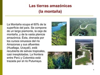Las tierras amazónicas  (la montaña)   La Montaña ocupa el 60% de la superficie del país. Se compone de un largo piamonte, la ceja de montaña, y de la vasta planicie amazónica. Ésta, drenada por los cursos sinuosos del río Amazonas y sus afluentes (Huallaga, Ucayali), está recubierta de selvas tropicales, casi inexplotadas. La frontera entre Perú y Colombia está trazada por el río Putumayo. 