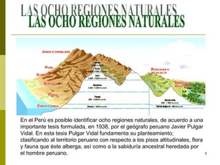 LAS OCHO REGIONES NATURALES En el Perú es posible identificar ocho regiones naturales, de acuerdo a una importante tesis formulada, en 1938, por el geógrafo peruano Javier Pulgar Vidal. En esta tesis Pulgar Vidal fundamenta su planteamiento; clasificando al territorio peruano con respecto a los pisos altitudinales, flora y fauna que éste alberga, así como a la sabiduría ancestral heredada por el hombre peruano.  