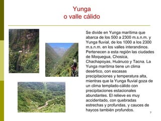 Se divide en Yunga marítima que abarca de los 500 a 2300 m.s.n.m. y Yunga fluvial, de los 1000 a los 2300 m.s.n.m. en los valles interandinos. Pertenecen a esta región las ciudades de Moquegua, Chosica, Chachapoyas, Huánuco y Tacna. La Yunga marítima tiene un clima desértico, con escasas precipitaciones y temperatura alta, mientras que la Yunga fluvial goza de un clima templado-cálido con precipitaciones estacionales abundantes. El relieve es muy accidentado, con quebradas estrechas y profundas, y cauces de haycos también profundos. Yunga o valle cálido  
