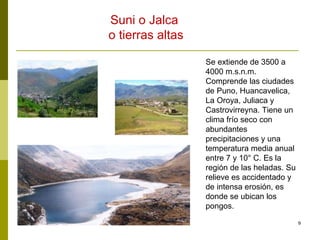 Se extiende de 3500 a 4000 m.s.n.m. Comprende las ciudades de Puno, Huancavelica, La Oroya, Juliaca y Castrovirreyna. Tiene un clima frío seco con abundantes precipitaciones y una temperatura media anual entre 7 y 10° C. Es la región de las heladas. Su relieve es accidentado y de intensa erosión, es donde se ubican los pongos. Suni o Jalca  o tierras altas 