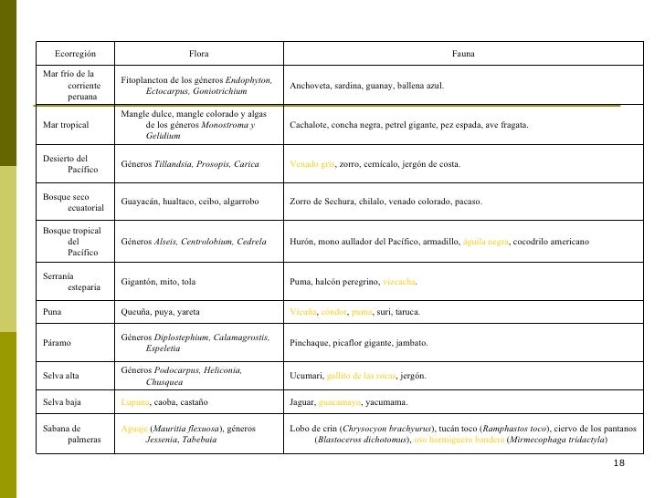 Las 11 ecorregiones del perù