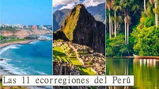 Las 11 ecorregiones del Perú
 