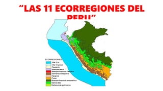 “LAS 11 ECORREGIONES DEL
PERU”
 
