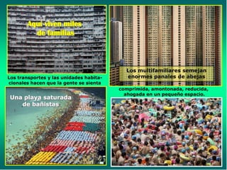Aquí viven miles
          de familias



                                           Los multifamiliares semejan
Los transportes y las unidades habita-     enormes panales de abejas
cionales hacen que la gente se sienta
                                         comprimida, amontonada, reducida,
                                           ahogada en un pequeño espacio.
Una playa saturada
   de bañistas
 