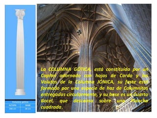 La COLUMNA GÓTICA, está constituída por un
Capitel adornado con hojas de Cardo y las
Volutas de la Columna JÓNICA, su fuste está
formado por una especie de haz de Columnitas
entregadas circularmente, y su base es un Cuarto
Bocel, que descansa sobre una Plancha
cuadrada.
 