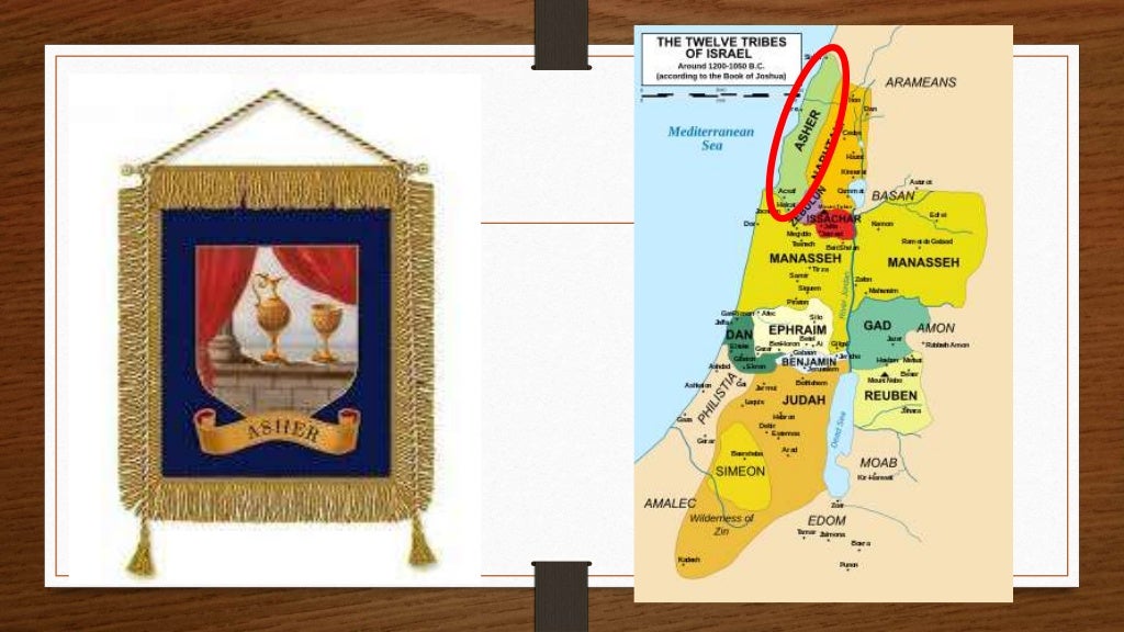 A Que Tribu De Israel Pertenezco