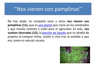 ‘’Nos vienen con pamplinas’’
No hay duda: en campaña unos y otros nos vienen con
pamplinas (11), que es una planta que crece en los sembrados
y que resulta molesta e inútil para el agricultor. Es más, nos
sueltan chorradas (12), la porción de líquido que se añadía de
propina al comprar leche, aceite o vino tras la medida y que
era, como es natural, escasa.
 