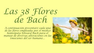 Las 38 Flores
de Bach
A continuación presentaré cada una
de las flores empleadas por el médico
homeópata Edward Bach para el
manejo de diversas alteraciones en las
emociones del ser humano…

 