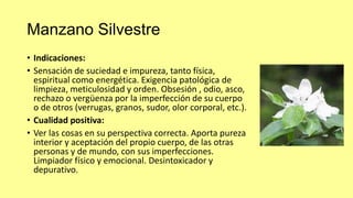 Manzano Silvestre
• Indicaciones:
• Sensación de suciedad e impureza, tanto física,
espiritual como energética. Exigencia patológica de
limpieza, meticulosidad y orden. Obsesión , odio, asco,
rechazo o vergüenza por la imperfección de su cuerpo
o de otros (verrugas, granos, sudor, olor corporal, etc.).
• Cualidad positiva:
• Ver las cosas en su perspectiva correcta. Aporta pureza
interior y aceptación del propio cuerpo, de las otras
personas y de mundo, con sus imperfecciones.
Limpiador físico y emocional. Desintoxicador y
depurativo.

 
