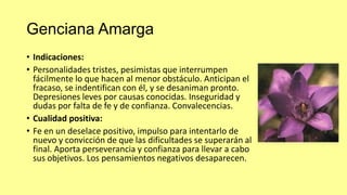 Genciana Amarga
• Indicaciones:
• Personalidades tristes, pesimistas que interrumpen
fácilmente lo que hacen al menor obstáculo. Anticipan el
fracaso, se indentifican con él, y se desaniman pronto.
Depresiones leves por causas conocidas. Inseguridad y
dudas por falta de fe y de confianza. Convalecencias.
• Cualidad positiva:
• Fe en un deselace positivo, impulso para intentarlo de
nuevo y convicción de que las dificultades se superarán al
final. Aporta perseverancia y confianza para llevar a cabo
sus objetivos. Los pensamientos negativos desaparecen.

 