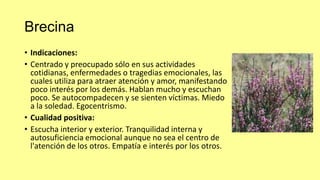 Brecina
• Indicaciones:
• Centrado y preocupado sólo en sus actividades
cotidianas, enfermedades o tragedias emocionales, las
cuales utiliza para atraer atención y amor, manifestando
poco interés por los demás. Hablan mucho y escuchan
poco. Se autocompadecen y se sienten víctimas. Miedo
a la soledad. Egocentrismo.
• Cualidad positiva:
• Escucha interior y exterior. Tranquilidad interna y
autosuficiencia emocional aunque no sea el centro de
l'atención de los otros. Empatía e interés por los otros.

 