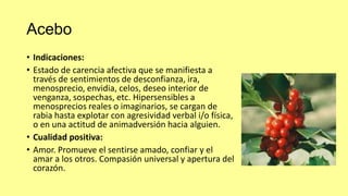 Acebo
• Indicaciones:
• Estado de carencia afectiva que se manifiesta a
través de sentimientos de desconfianza, ira,
menosprecio, envidia, celos, deseo interior de
venganza, sospechas, etc. Hipersensibles a
menosprecios reales o imaginarios, se cargan de
rabia hasta explotar con agresividad verbal i/o física,
o en una actitud de animadversión hacia alguien.
• Cualidad positiva:
• Amor. Promueve el sentirse amado, confiar y el
amar a los otros. Compasión universal y apertura del
corazón.

 