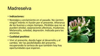 Madreselva
• Indicaciones:
• Nostalgia y anclamiento en el pasado. No sienten
ningún interés ni ilusión por el presente. Añoranza
de los buenos y viejos tiempos. Pérdidas que no se
pueden olvidar, separaciones afectivas, mudanzas.
Melancolía, soledad, depresión. Indicada para los
ancianos.
• Cualidad positiva:
• Vivir el presente, dando lugar al desarrollo y al
cambio. Ver las posibilidades del presente,
recuperando la certeza de que también hoy hay
oportunidades que esperan.

 