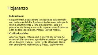 Hojaranzo
• Indicaciones:
• Fatiga mental, dudas sobre la capacidad para cumplir
con las tareas del día, fundamentadas a menudo por la
rutina, aburrimiento y falta de alicientes. Sólo de
pensarlo, sienten que no serán capaces de enfrentarse
a los deberes cotidianos. Pereza, laxitud mental.
• Cualidad positiva:
• Aporta energía, entusiasmo e interés por la vida. Se
espera el día como una agradable experiencia en lugar
de un tiránico trabajo. Hacer frente al trabajo diario
con energía y la mente clara y fresca. Espíritu vivo.

 