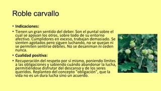 Roble carvallo
• Indicaciones:
• Tienen un gran sentido del deber. Son el puntal sobre el
cual se apoyan los otros, sobre todo de su entorno
afectivo. Cumplidores en exceso, trabajan demasiado. Se
sienten agotados pero siguen luchando, no se quejan ni
se permiten sentirse débiles. No se desaniman ni ceden
nunca.
• Cualidad positiva:
• Recuperación del respeto por sí mismo, poniendo límites
a las obligaciones y sabiendo cuándo abandonar la lucha,
permitiéndose disfrutar del descanso y de los seres
queridos. Replanteo del concepto "obligación", que la
vida no es un dura lucha sino un acuerdo.

 