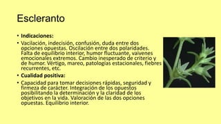 Escleranto
• Indicaciones:
• Vacilación, indecisión, confusión, duda entre dos
opciones opuestas. Oscilación entre dos polaridades.
Falta de equilibrio interior, humor fluctuante, vaivenes
emocionales extremos. Cambio inesperado de criterio y
de humor. Vértigo, mareo, patologías estacionales, fiebres
recurrentes, etc.
• Cualidad positiva:
• Capacidad para tomar decisiones rápidas, seguridad y
firmeza de carácter. Integración de los opuestos
posibilitando la determinación y la claridad de los
objetivos en la vida. Valoración de las dos opciones
opuestas. Equilibrio interior.

 