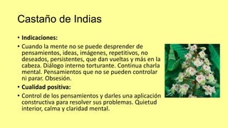 Castaño de Indias
• Indicaciones:
• Cuando la mente no se puede desprender de
pensamientos, ideas, imágenes, repetitivos, no
deseados, persistentes, que dan vueltas y más en la
cabeza. Diálogo interno torturante. Continua charla
mental. Pensamientos que no se pueden controlar
ni parar. Obsesión.
• Cualidad positiva:
• Control de los pensamientos y darles una aplicación
constructiva para resolver sus problemas. Quietud
interior, calma y claridad mental.

 
