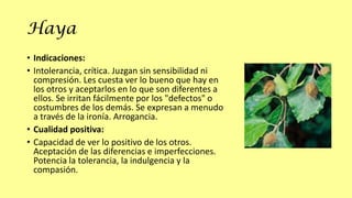 Haya
• Indicaciones:
• Intolerancia, crítica. Juzgan sin sensibilidad ni
compresión. Les cuesta ver lo bueno que hay en
los otros y aceptarlos en lo que son diferentes a
ellos. Se irritan fácilmente por los "defectos" o
costumbres de los demás. Se expresan a menudo
a través de la ironía. Arrogancia.
• Cualidad positiva:
• Capacidad de ver lo positivo de los otros.
Aceptación de las diferencias e imperfecciones.
Potencia la tolerancia, la indulgencia y la
compasión.

 
