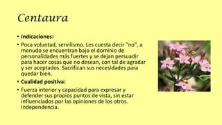 Centaura
• Indicaciones:
• Poca voluntad, servilismo. Les cuesta decir "no", a
menudo se encuentran bajo el dominio de
personalidades más fuertes y se dejan persuadir
para hacer cosas que no desean, con tal de agradar
y ser aceptados. Sacrifican sus necesidades para
quedar bien.
• Cualidad positiva:
• Fuerza interior y capacidad para expresar y
defender sus propios puntos de vista, sin estar
influenciados por las opiniones de los otros.
Independencia.

 