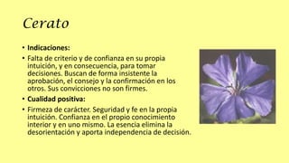 Cerato
• Indicaciones:
• Falta de criterio y de confianza en su propia
intuición, y en consecuencia, para tomar
decisiones. Buscan de forma insistente la
aprobación, el consejo y la confirmación en los
otros. Sus convicciones no son firmes.
• Cualidad positiva:
• Firmeza de carácter. Seguridad y fe en la propia
intuición. Confianza en el propio conocimiento
interior y en uno mismo. La esencia elimina la
desorientación y aporta independencia de decisión.

 