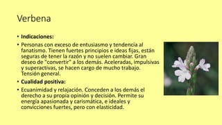Verbena
• Indicaciones:
• Personas con exceso de entusiasmo y tendencia al
fanatismo. Tienen fuertes principios e ideas fijas, están
seguras de tener la razón y no suelen cambiar. Gran
deseo de "convertir" a los demás. Aceleradas, impulsivas
y superactivas, se hacen cargo de mucho trabajo.
Tensión general.
• Cualidad positiva:
• Ecuanimidad y relajación. Conceden a los demás el
derecho a su propia opinión y decisión. Permite su
energía apasionada y carismática, e ideales y
convicciones fuertes, pero con elasticidad.
 