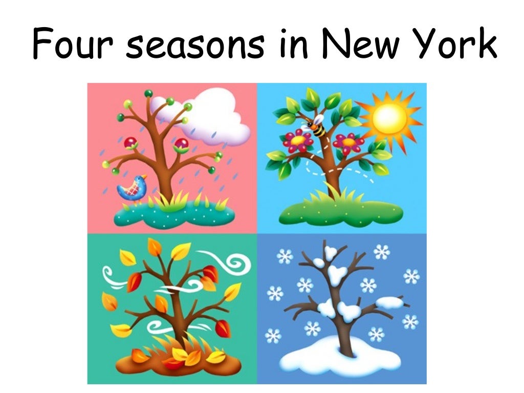Four seasons in New York