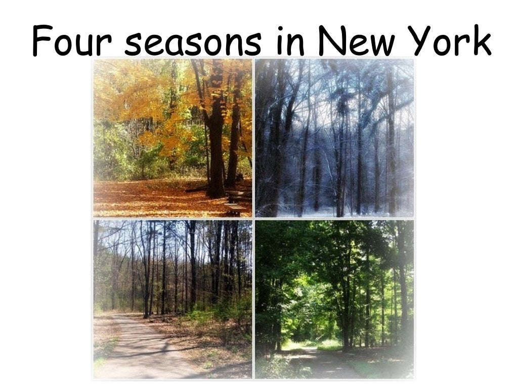 Four seasons in New York