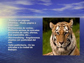 .- Anuncio en páginas amarillas.- Media página a todo color. .- Promociones de ventas.- Mediante sorteos de entradas en canales de radio, ofertas, días especiales, etc… .- Merchandising.- Regalaremos objetos con publicidad del zoo. .- Valla publicitaria.- En las entradas a la ciudad de Badajoz. 