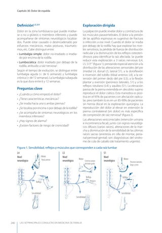 LAS 50 principALeS conSuLtAS en medicinA de fAmiLiA
Capítulo 30. Dolor de espalda
240
Deﬁnición1,2,3,4
Dolor en la zona lumbosacra que puede irradiar-
se o no a glúteos o miembros inferiores y puede
acompañarse de síntomas neurológicos localiza-
dos. Puede estar causado o desencadenado por
esfuerzos mecánicos, malas posturas, traumatis-
mos, etc. Cabe distinguir entre:
• Lumbalgia simple: dolor no-irradiado o irradia-
do por encima de la rodilla.
• Lumbociática: dolor irradiado por debajo de la
rodilla, atribuido a raíz nerviosa5
.
Según el tiempo de evolución, se distingue entre
lumbalgia aguda (< de 6 semanas) y lumbalgia
crónica (> de 12 semanas). La lumbalgia subaguda
es la que dura entre 6 y 12 semanas.
Preguntas clave
• ¿Cuándo y cómo empezó el dolor?
• ¿Tiene características mecánicas?
• ¿Se irradia hacia una o ambas piernas?
• ¿Se localiza por encima o por debajo de la rodilla?
• ¿Se acompaña de síntomas neurológicos en los
miembros inferiores?
• ¿Hay signos de alarma?
• ¿Existen factores de riesgo de cronicidad?
Exploración dirigida
La palpación puede revelar dolor y contractura de
los músculos paravertebrales. El dolor a la presión
de las apóﬁsis espinosas es sugestivo de fractura
o infección a ese nivel. Cuando el dolor se irradia
por debajo de la rodilla hay que explorar los nive-
les sensitivos, la pérdida de fuerza de distribución
radicular y la disminución de los reﬂejos osteoten-
dinosos para identiﬁcar la raíz afectada. Se puede
reducir esta exploración a 3 raíces nerviosas (L4,
L5, S1)6,7
(ﬁgura 1), prestando especial atención a la
distribución de las alteraciones sensoriales del pie
(medial L4, dorsal L5, lateral S1), a la dorsiﬂexión
e inversión del tobillo (tibial anterior, L4), a la ex-
tensión del primer dedo del pie (L5), a la ﬂexión
plantar y eversión (peroneos laterales, S1) y a los
reﬂejos rotuliano (L4) y aquíleo (S1). La elevación
pasiva de la pierna extendida en decúbito supino
reproduce el dolor ciático. Esta maniobra es posi-
tiva en el 95% de pacientes con afectación radicu-
lar, pero también lo es en un 85-90% de pacientes
sin hernia discal en la exploración quirúrgica. La
reproducción del dolor al elevar en extensión la
pierna contralateral (sin dolor) es más especíﬁca
de compresión de raíz nerviosa6
(ﬁgura 2).
Las alteraciones vesicorrectales (retención urinaria
e incontinencia fecal), junto con signos neurológi-
cos difusos (varias raíces), alteraciones de la mar-
cha y disminución de la sensibilidad de las últimas
raíces sacras (anestesia en silla de montar, peria-
nal-perineal-genital) son diagnósticas del síndro-
me de cola de caballo (de tratamiento urgente).
Motor
Motor MotorTibial anterior Extensor propio
del dedo gordo
Peroneos laterales
largo y corto
NingunoReﬂejo
Reﬂejo Reﬂejo
Sensibilidad
Sensibilidad
Sensibilidad
L4
L5 S1
L4
Figura 1. Sensibilidad, reﬂejos y músculos que corresponden a cada raíz lumbar
L4
Nivel
neurológico
L5
Nivel
neurológico
S1
Nivel
neurológico
L5
 