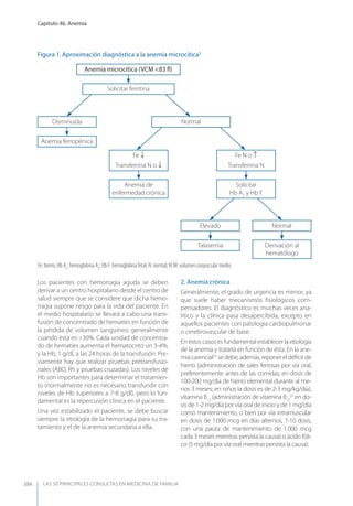Las 50 principales consultas